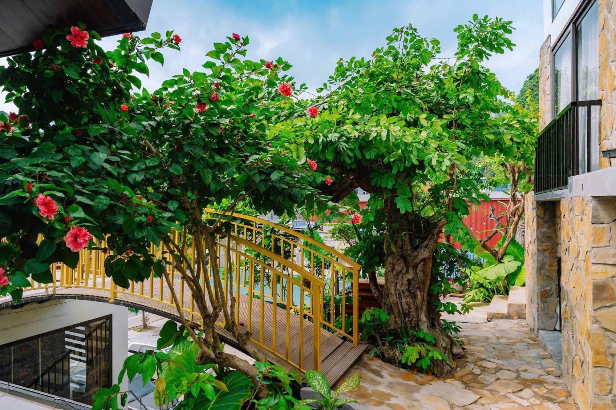 Ecorest Villa Cat Ba Chan Chau Eksteriør billede